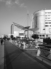 阳明公司注册